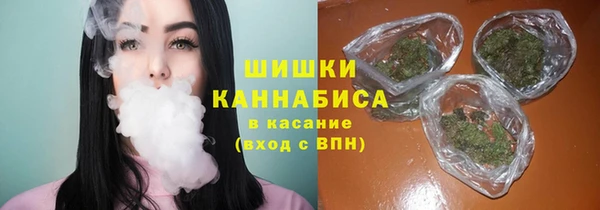 ешки Медногорск