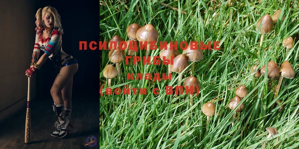 MDMA Медвежьегорск