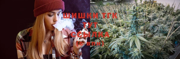 ешки Медногорск
