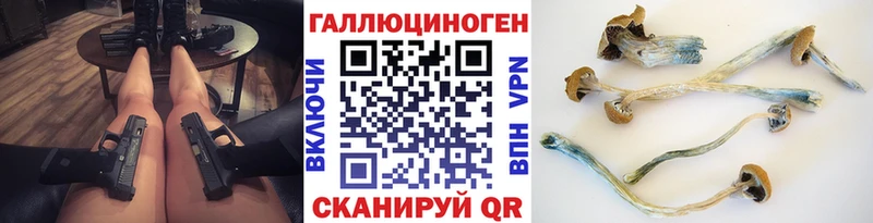 Галлюциногенные грибы Magic Shrooms  где можно купить   Тверь 
