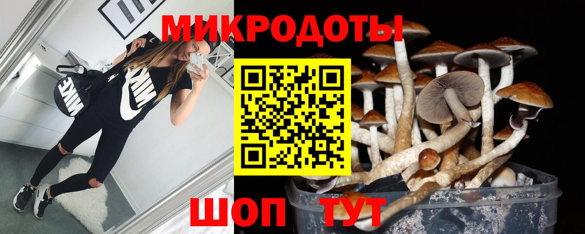 Псилоцибиновые грибы GOLDEN TEACHER  Тверь  Галлюциногенные грибы мухоморы 